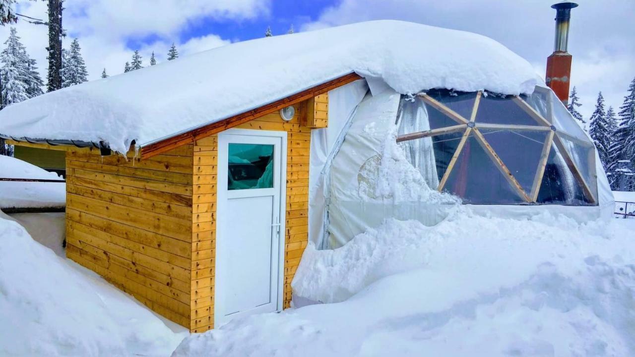 Igloo In The Woods - New, Warm And Inspiring Hotel Pamporovo Exterior foto